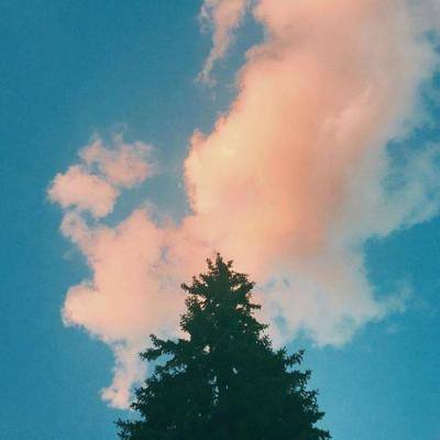 亚虎娱乐下载手机版